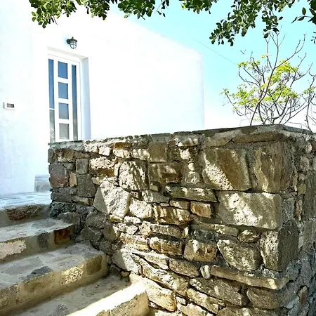 Oxalis Mykonos *