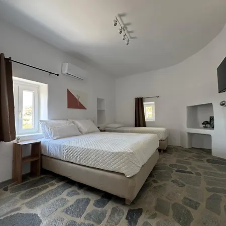 Oxalis Mykonos