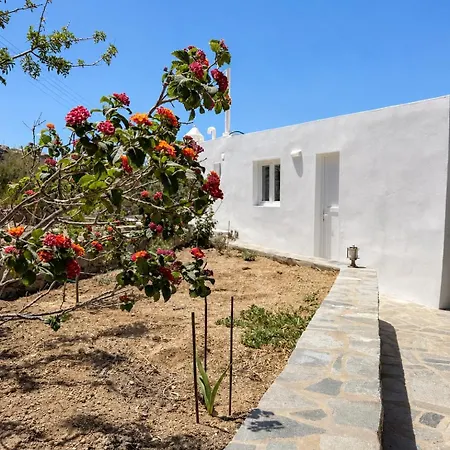 Apartment Oxalis Mykonos