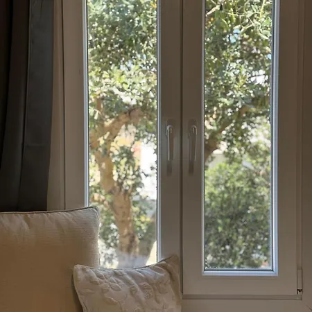 Oxalis Mykonos Plintri